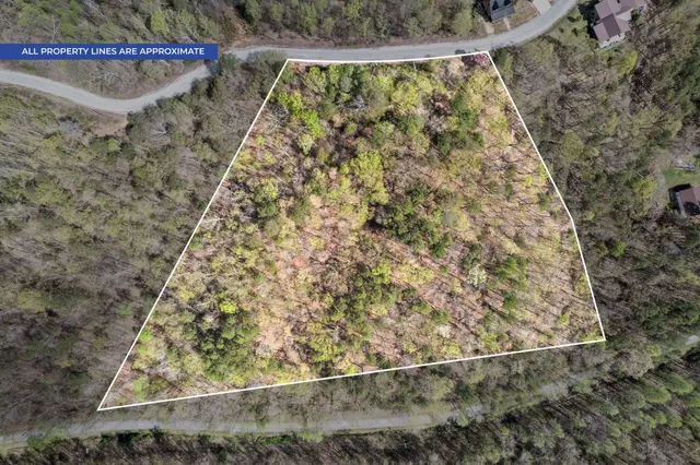 a view of wooden floor