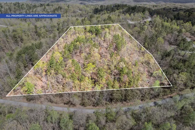 a view of a dry yard