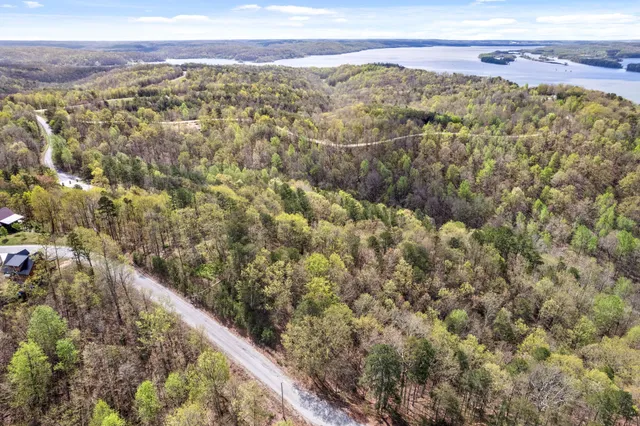 a view of a city with mountains