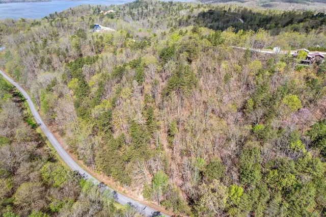a view of a forest with a lake