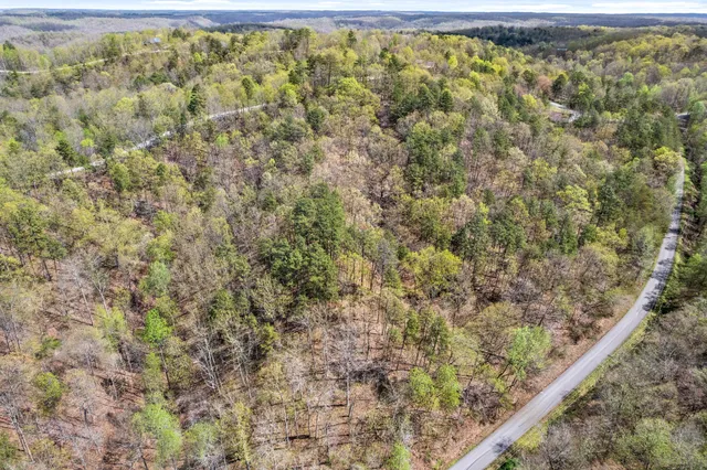 a close up of a plant in a bathroom