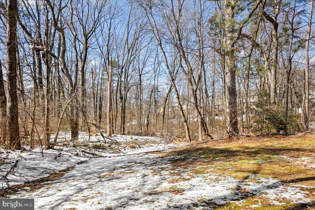 1642 Harvest Green Court Reston, VA 20194 - Photo 43 of 46 a view of a house with snow on the ground
