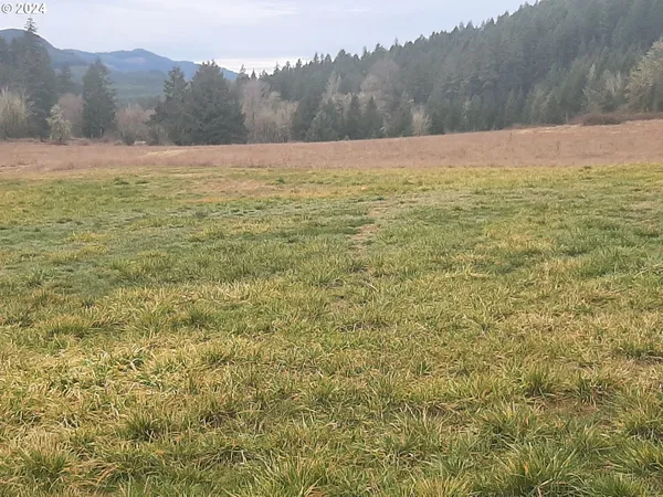 $450,000 | 39933 Layng Creek Road, Dorena, OR 97434