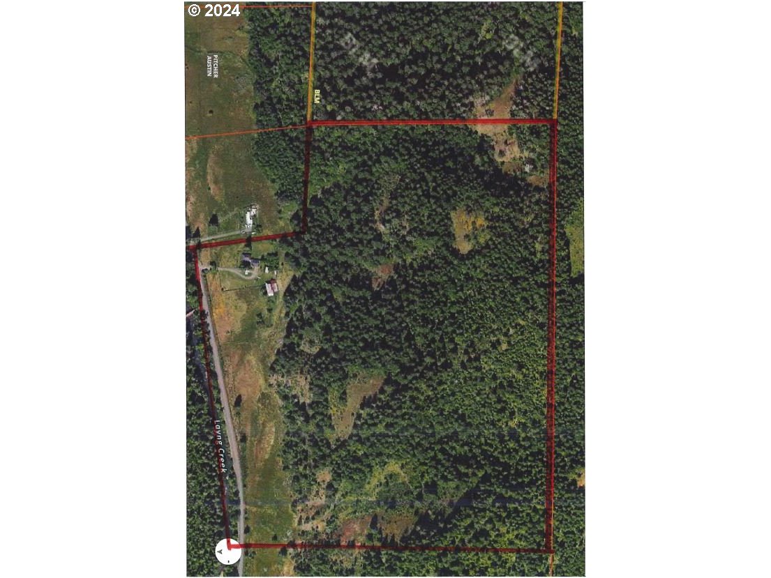 39933 Layng Creek Road Dorena, OR 97434 - Photo 5 of 11