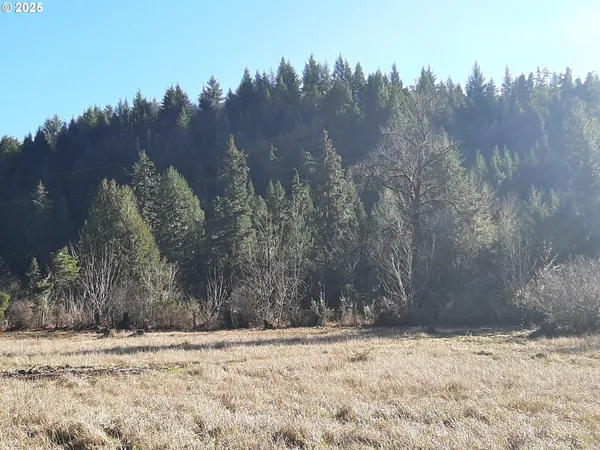 $450,000 | 39933 Layng Creek Road, Dorena, OR 97434