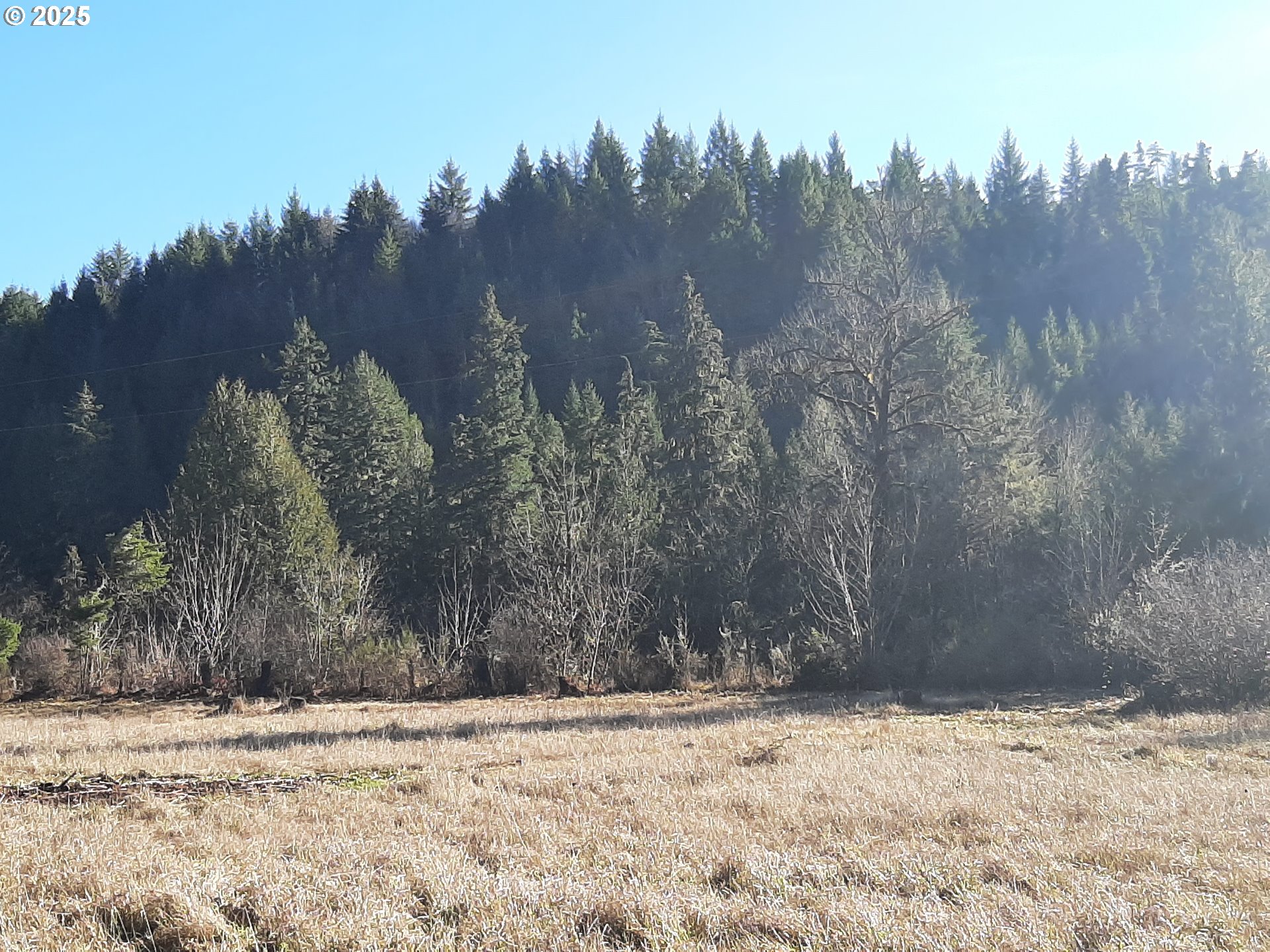 39933 Layng Creek Road Dorena, OR 97434 - Photo 7 of 11