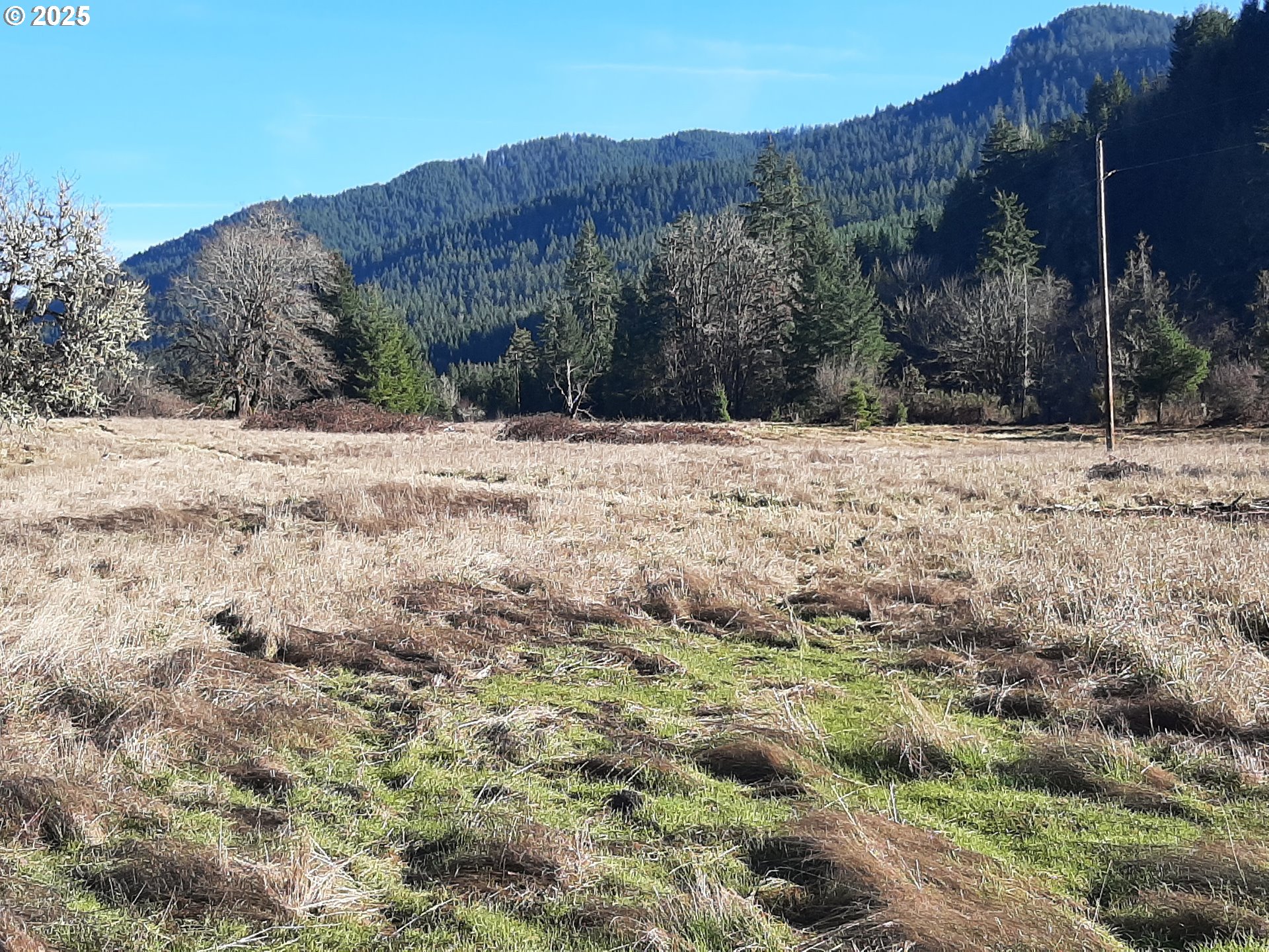 39933 Layng Creek Road Dorena, OR 97434 - Photo 8 of 11