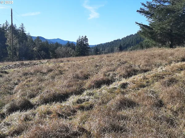 $450,000 | 39933 Layng Creek Road, Dorena, OR 97434