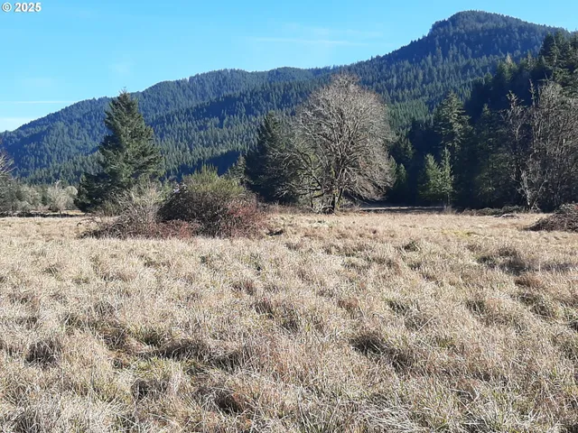 a view of a dry yard with mountains and the background