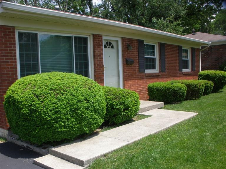 855 Honeysuckle Road Lexington, KY 40504 - Photo 6 of 12 Photo 6