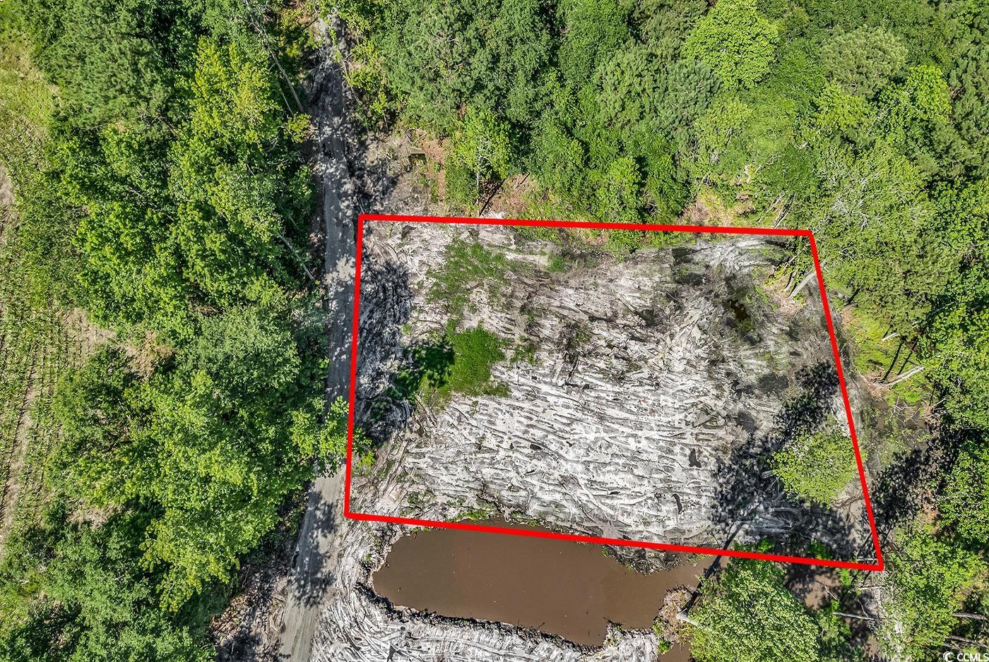 Lot 1 Coats Road Loris, SC 29569 - Photo 1 of 9