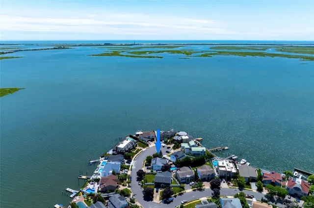 a room with toys and flowers