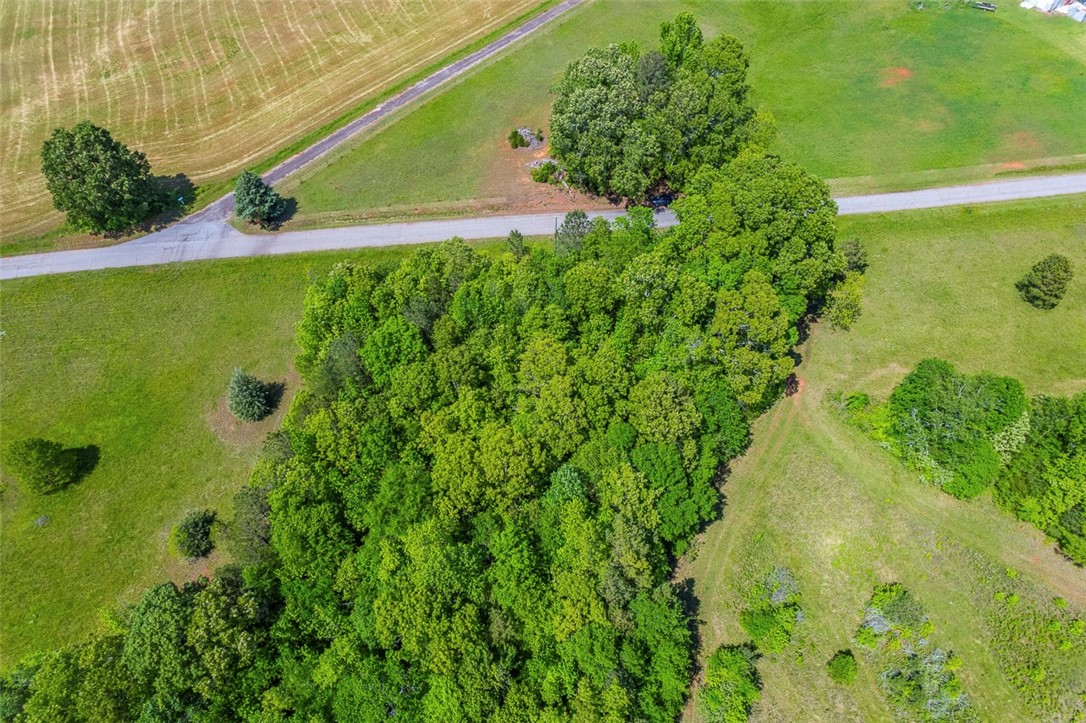 0 Generostee Church Road Starr, SC 29684 - Photo 4 of 5 Gallery Image 4