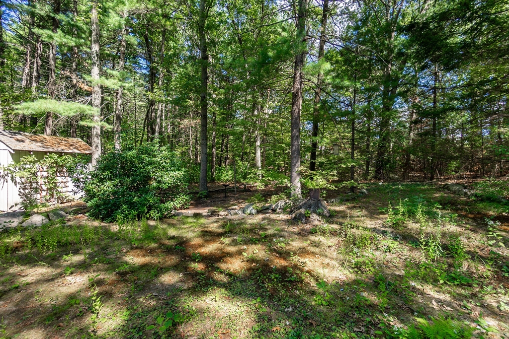 124 East Belcher Road Foxboro, MA 02035 - Photo 28 of 32 Gallery Image 28