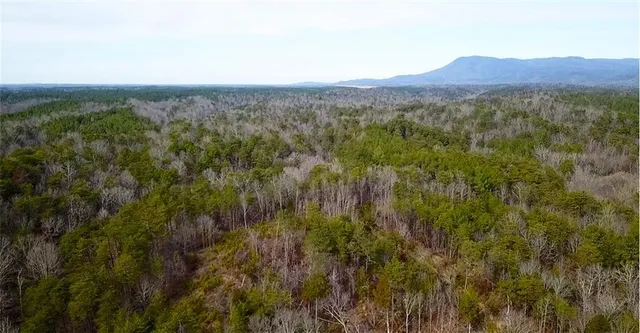 a view of a lush green hillside and a houses