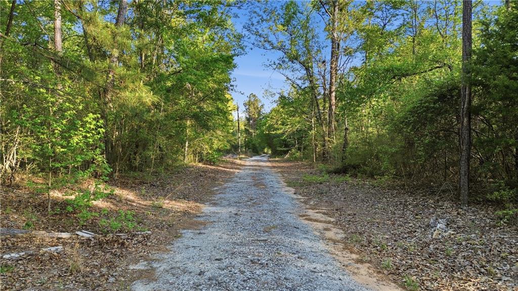 2078 Mims Road Hephzibah, GA 30815 - Photo 3 of 35