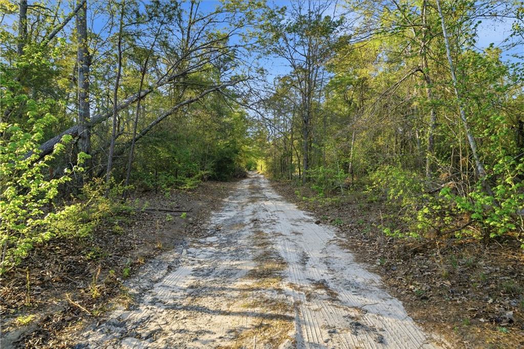 2078 Mims Road Hephzibah, GA 30815 - Photo 32 of 35