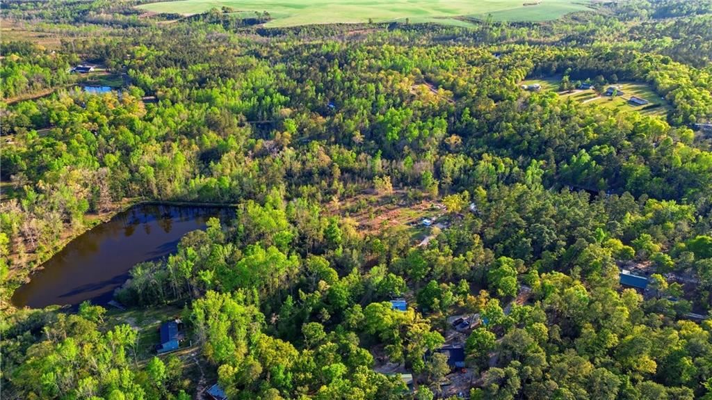 2078 Mims Road Hephzibah, GA 30815 - Photo 6 of 35