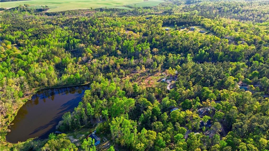 2078 Mims Road Hephzibah, GA 30815 - Photo 7 of 35