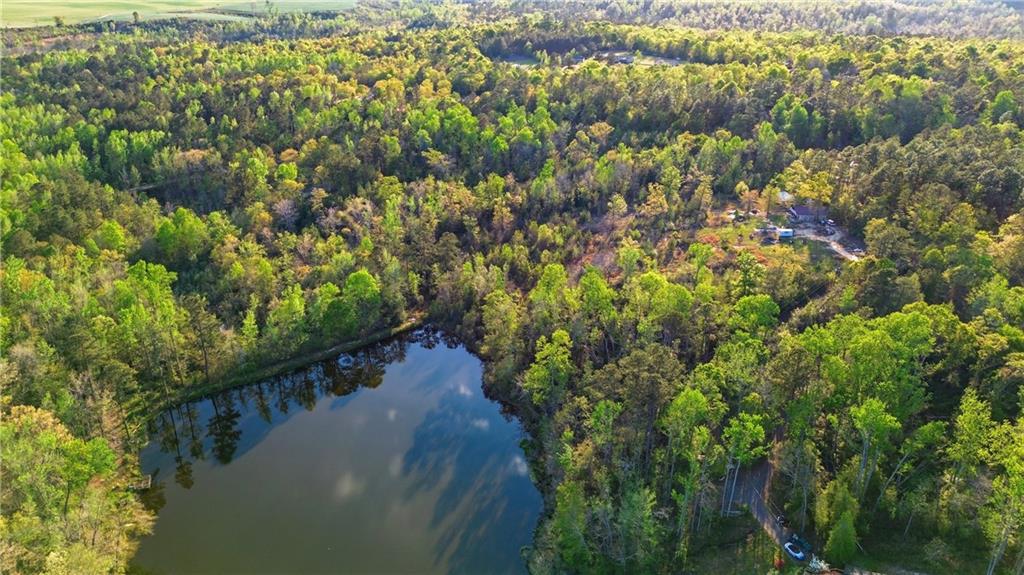 2078 Mims Road Hephzibah, GA 30815 - Photo 8 of 35