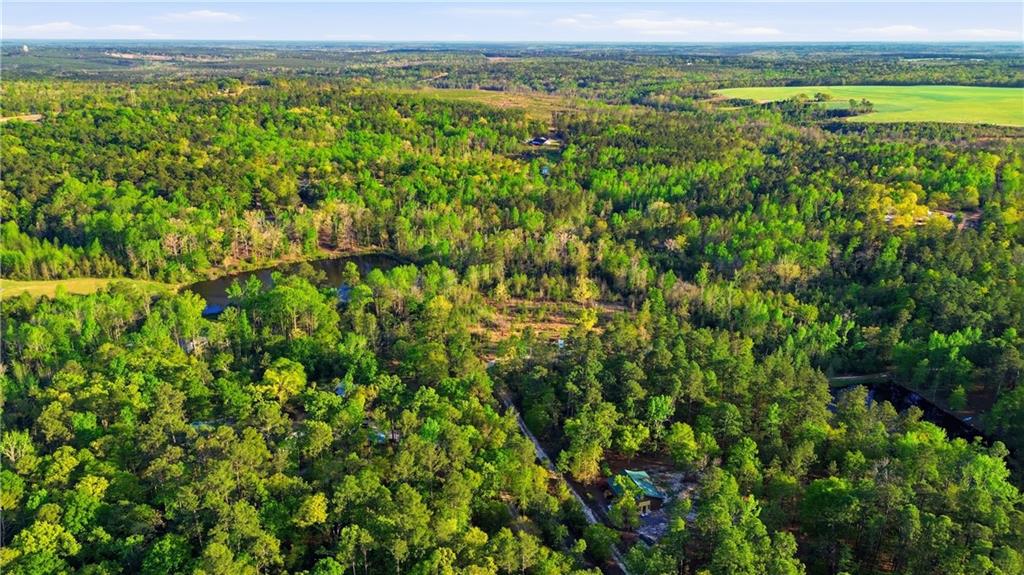 2078 Mims Road Hephzibah, GA 30815 - Photo 9 of 35