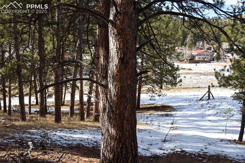 6th Street Guffey, CO 80820 - Photo 18 of 28
