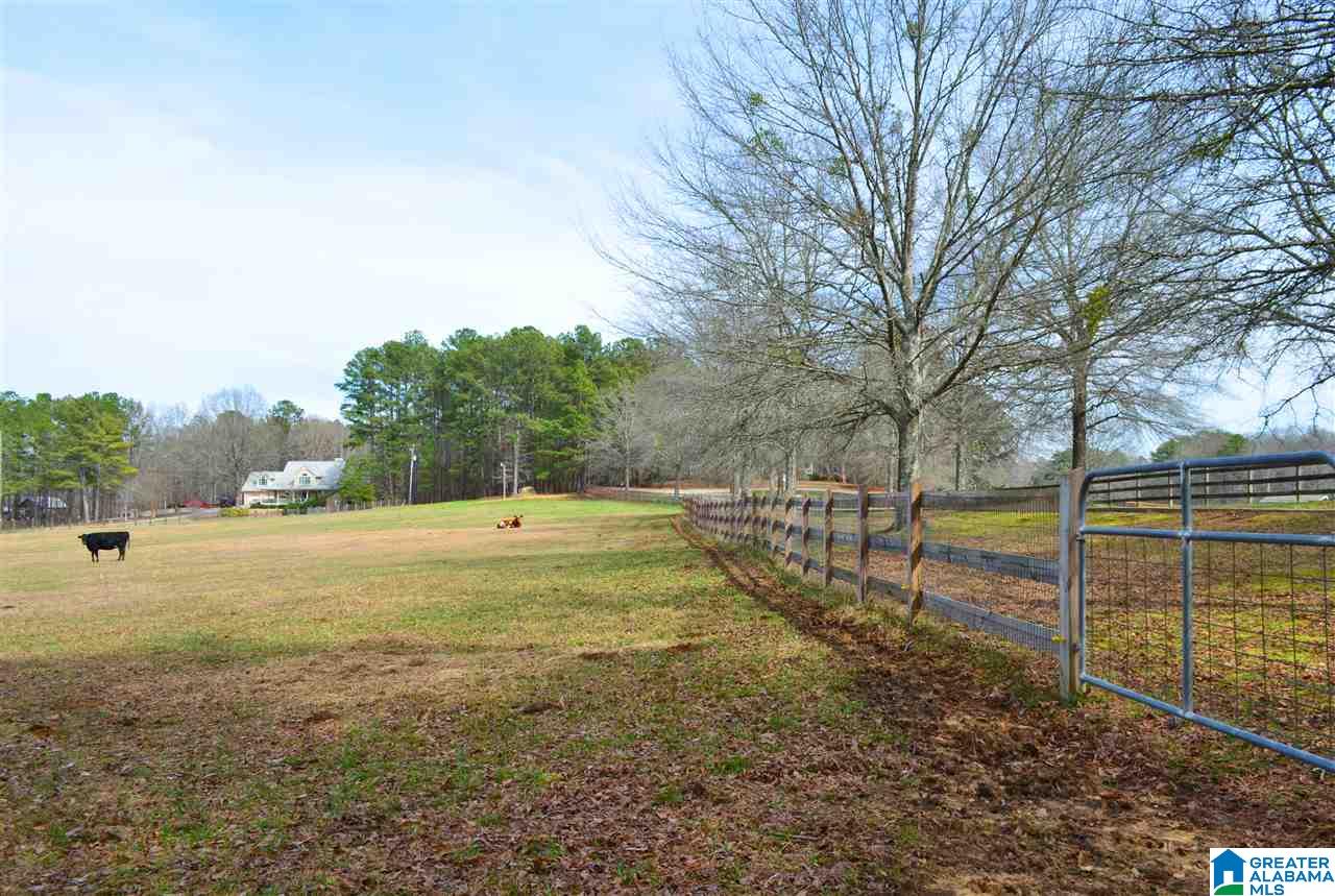 10 Spring Branch Road Columbiana, AL 35051 - Photo 2 of 49