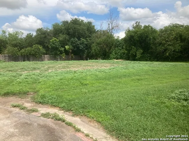 a view of a field of grass and trees