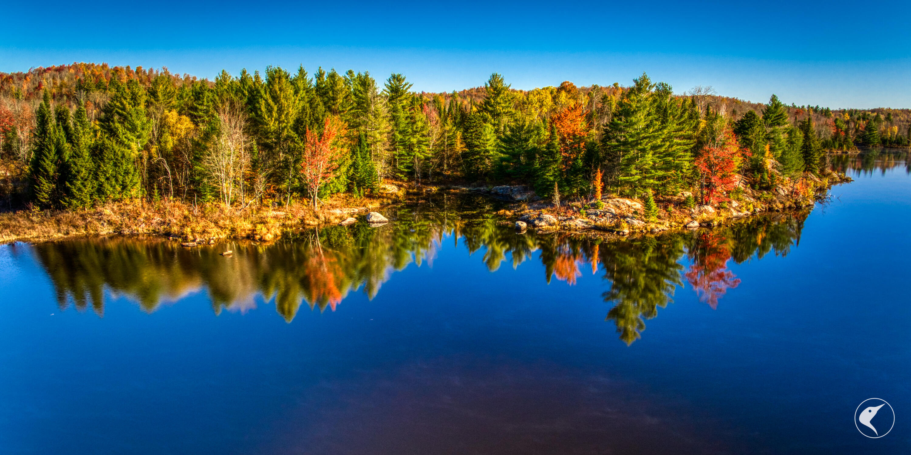 4891 State Rte 3 Newton Falls, NY 13666 - Photo 36 of 41 DJI_20241018092759_0128_D