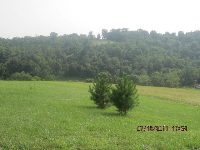 1980 Saltwell Road Carlisle, KY 40311 - Photo 5 of 9 Photo 5