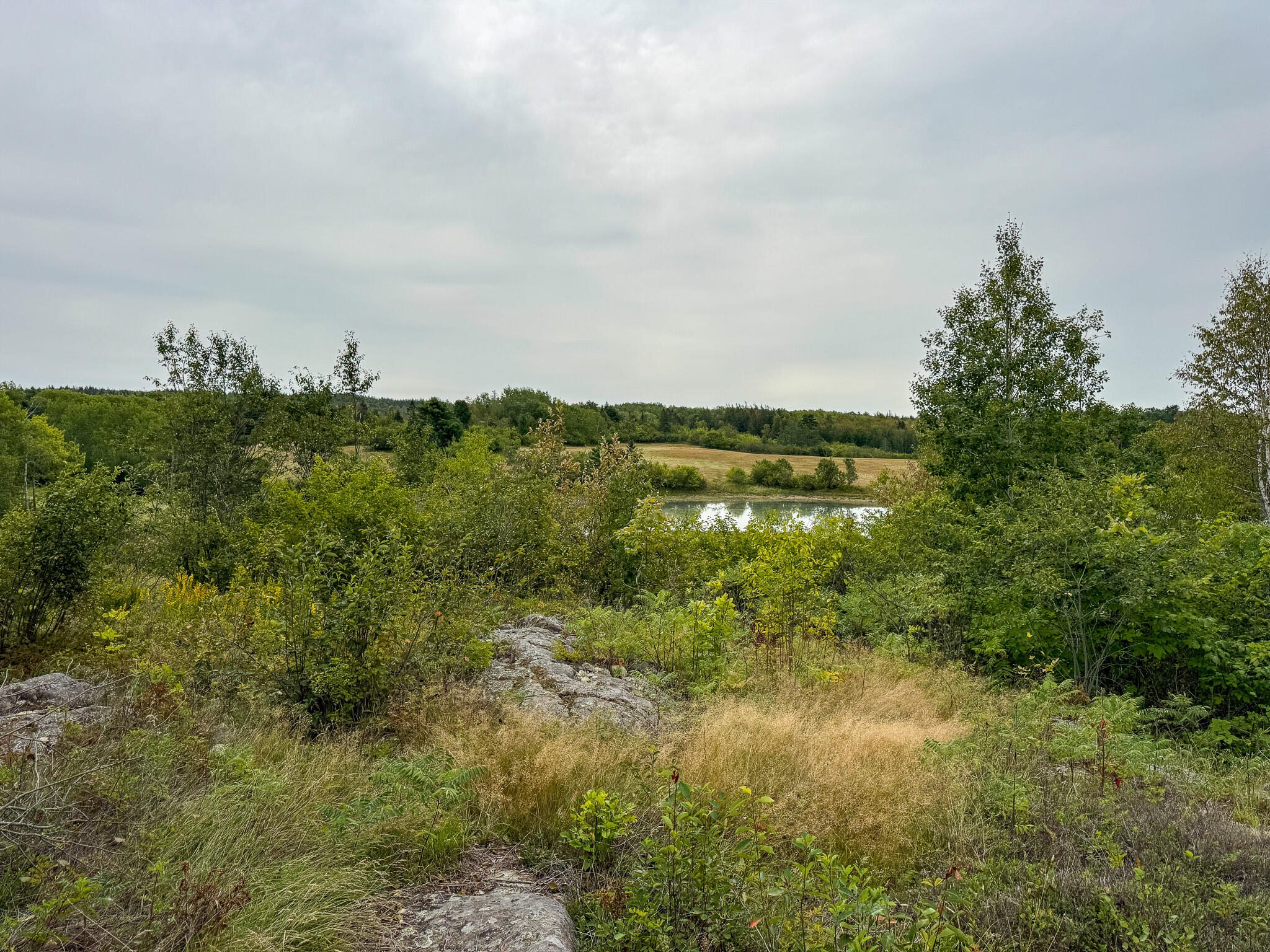 46 Lyons Road Lubec, ME 04652 - Photo 13 of 40 14
