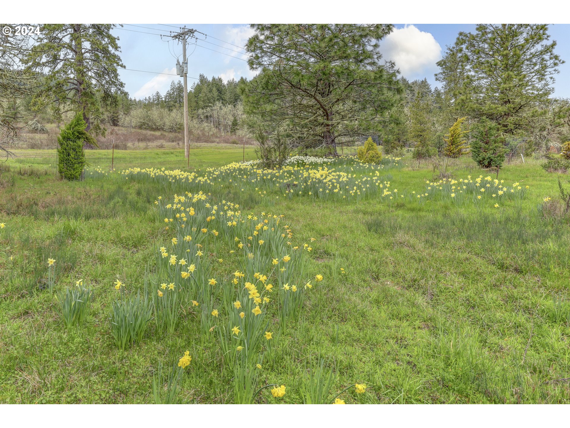 85255 Christensen Road Eugene, OR 97405 - Photo 14 of 19