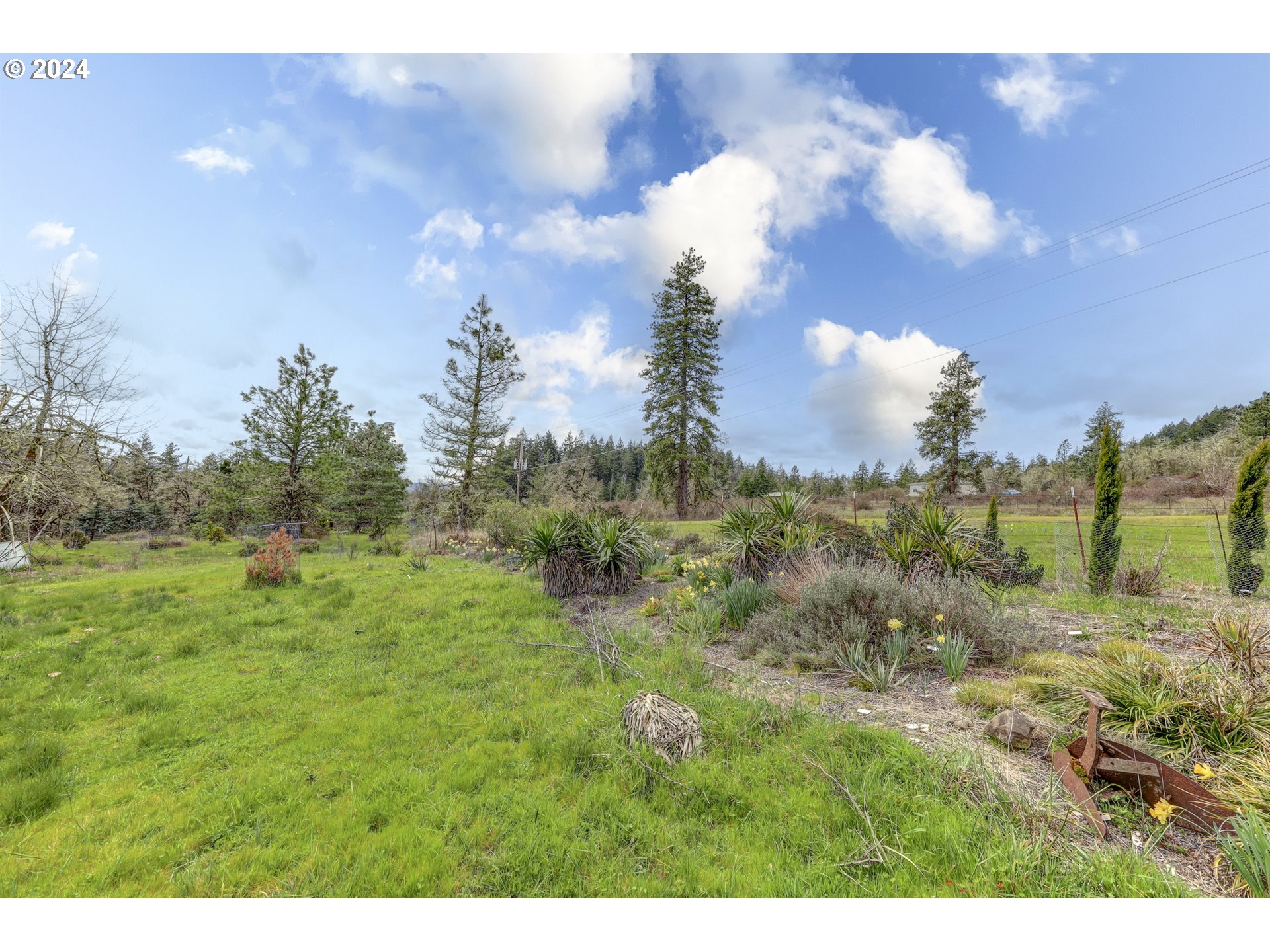 85255 Christensen Road Eugene, OR 97405 - Photo 15 of 19