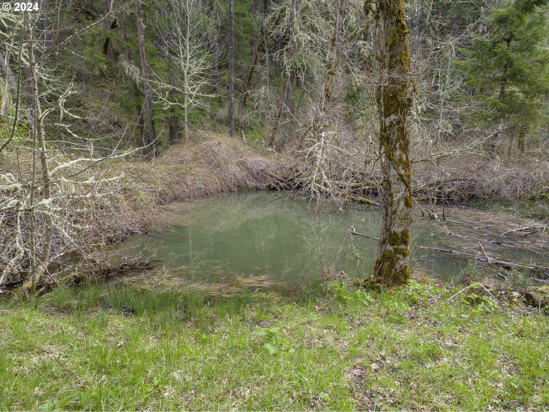 85255 Christensen Road Eugene, OR 97405 - Photo 16 of 19