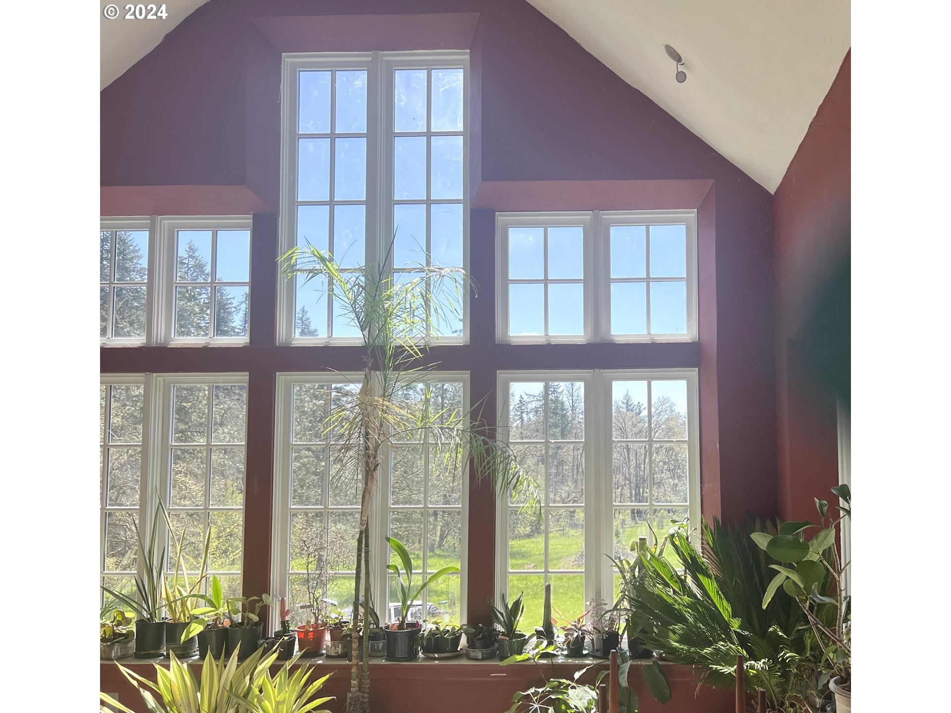 85255 Christensen Road Eugene, OR 97405 - Photo 7 of 19