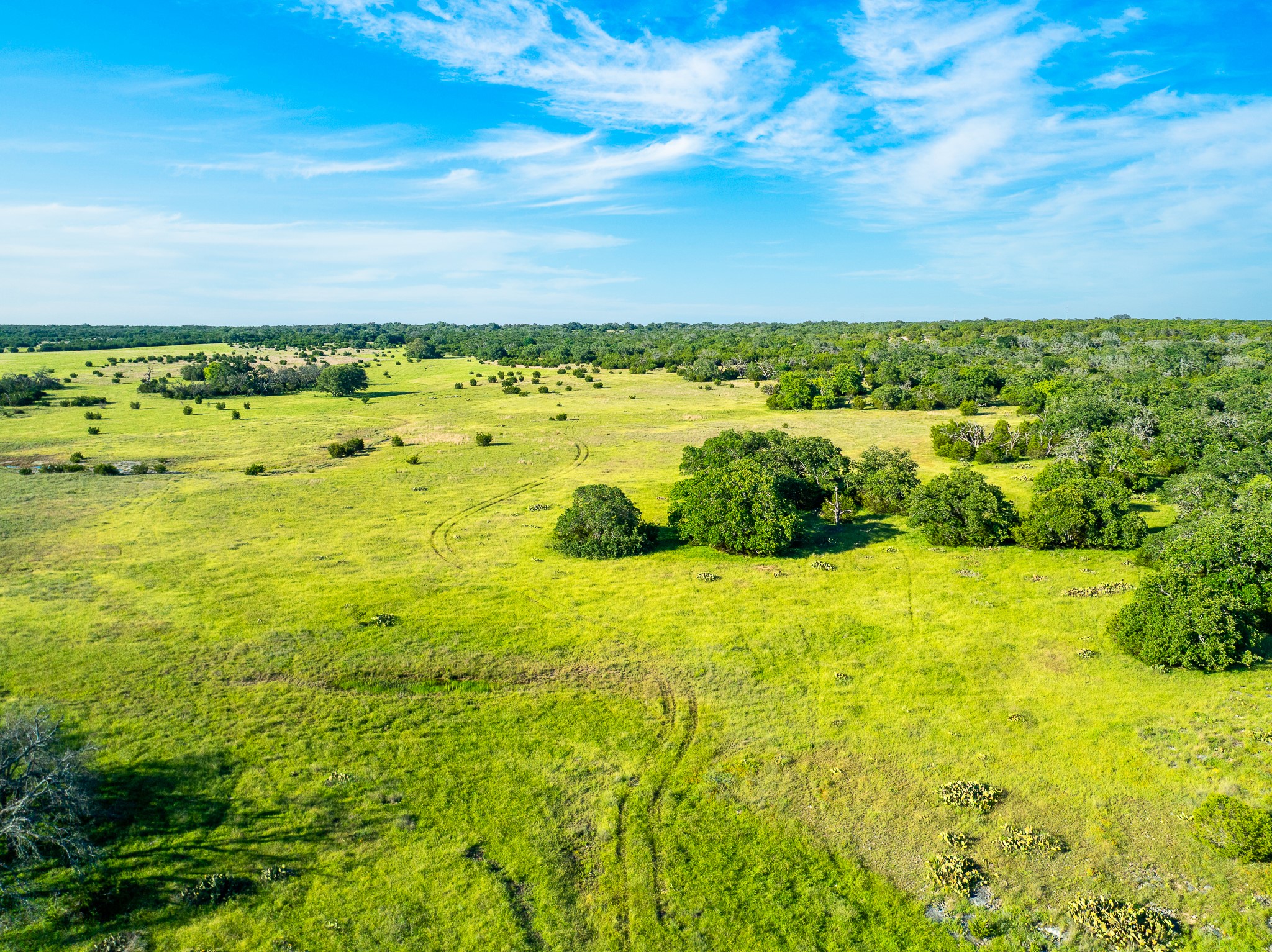 32 Feild Ranch Road Burnet, TX 78611 - Photo 24 of 40 Vast green pastures meet distant woodlands under a wide, clear sky.