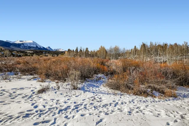 a view of a house with a yard and a forest