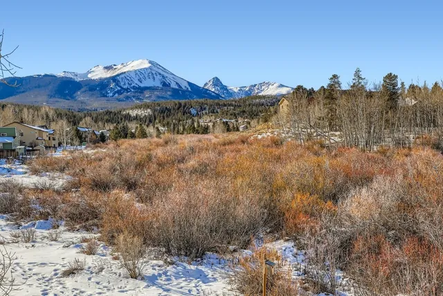 a view of a forest with a yard