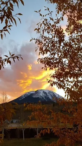 a view of a backyard with mountain view with wooden floor and a floor to ceiling window