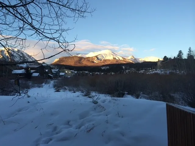 a view of a yard in front of a house