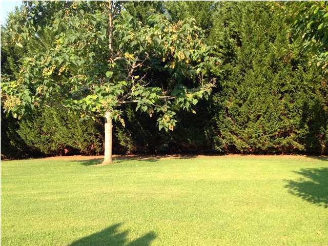 68 Swan Drive Rock Spring, GA 30739 - Photo 20 of 21 Additional Photo