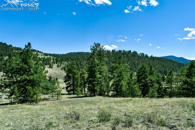Lot 60 B Road Guffey, CO 80820 - Photo 8 of 28
