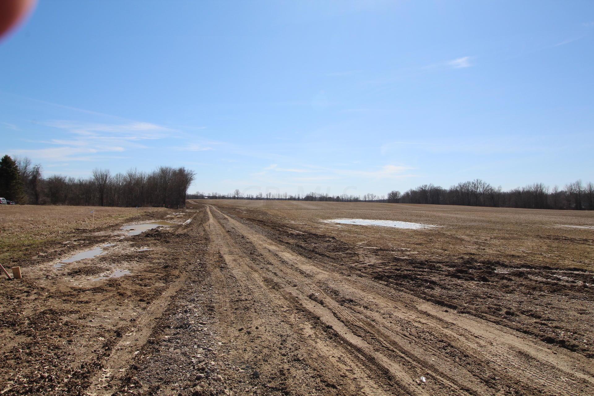 0 State Rte 521 Sunbury, OH 43074 - Photo 4 of 28