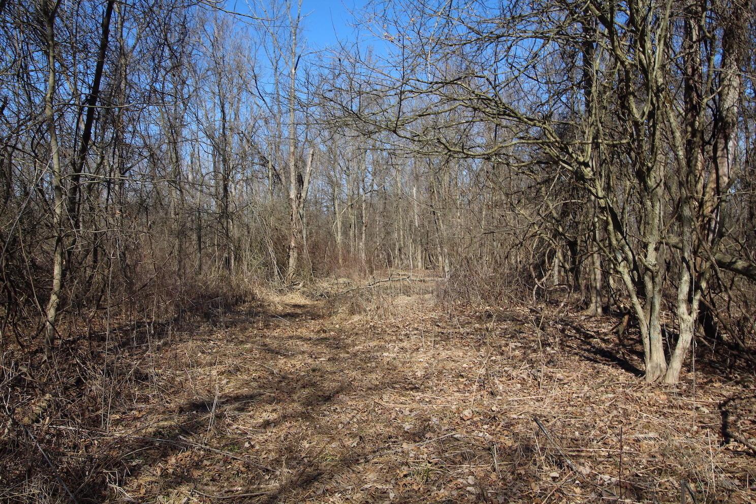 0 State Rte 521 Sunbury, OH 43074 - Photo 8 of 28