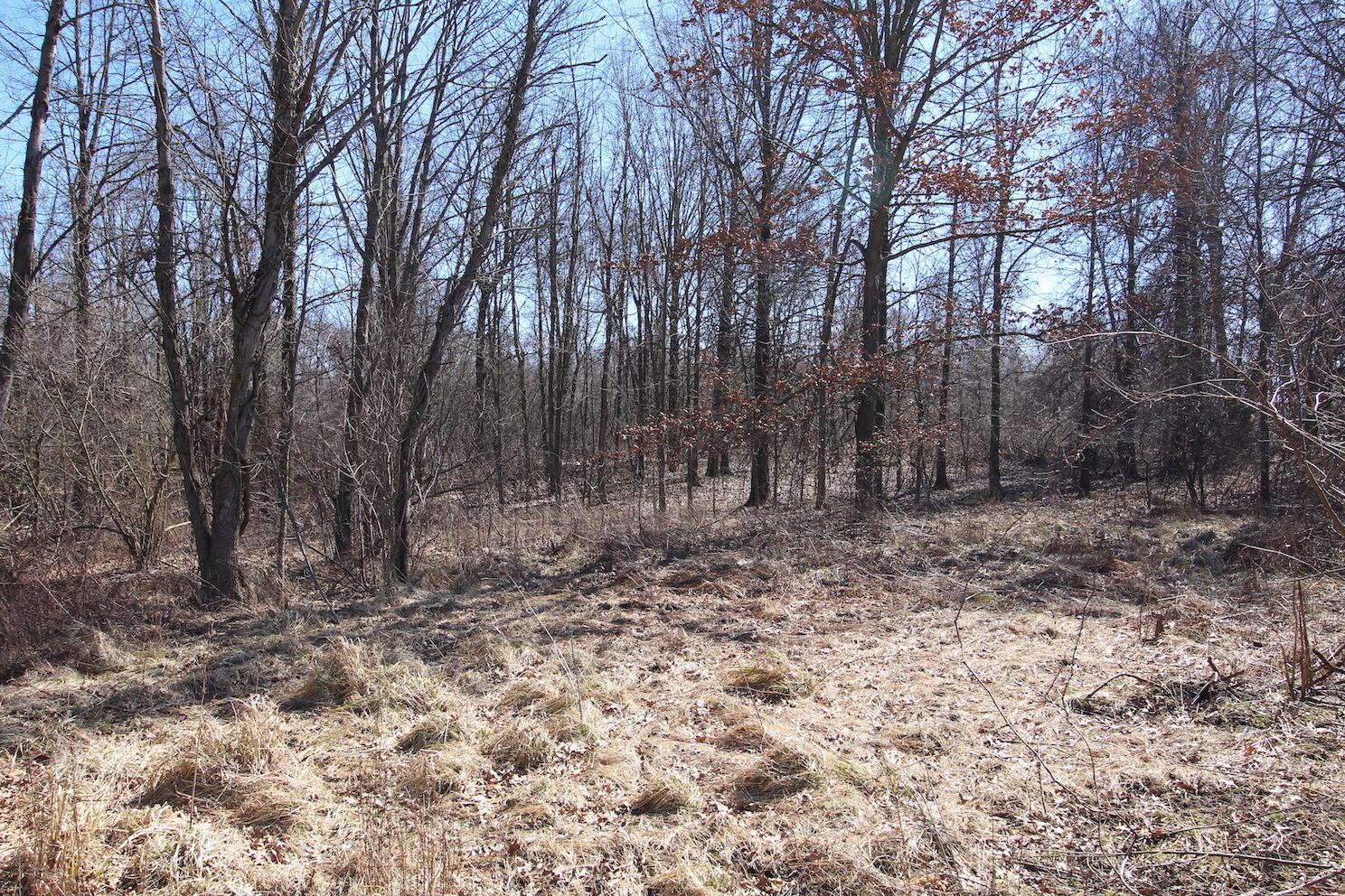 0 State Rte 521 Sunbury, OH 43074 - Photo 10 of 28