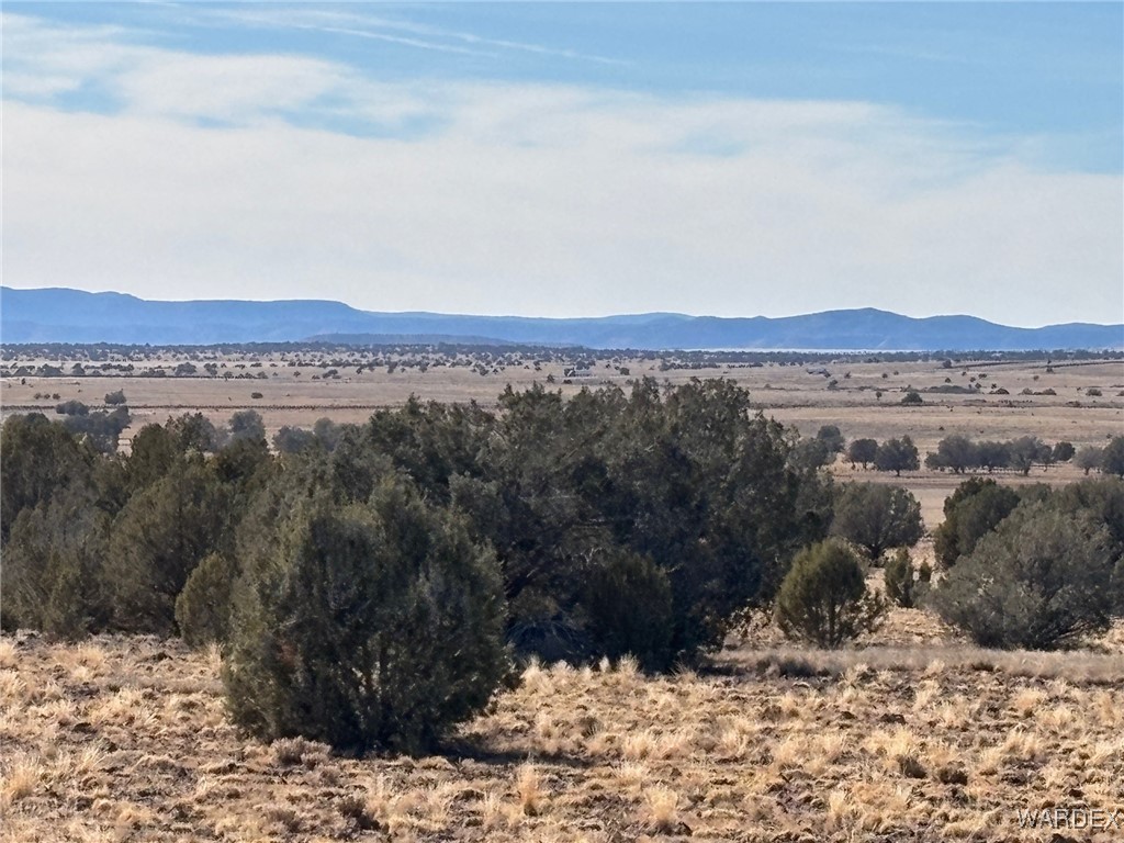 14 North Ten Tanks Road Williams, AZ 86046 - Photo 1 of 23 View