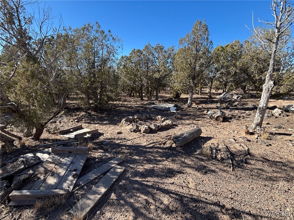14 North Ten Tanks Road Williams, AZ 86046 - Photo 14 of 23 Other