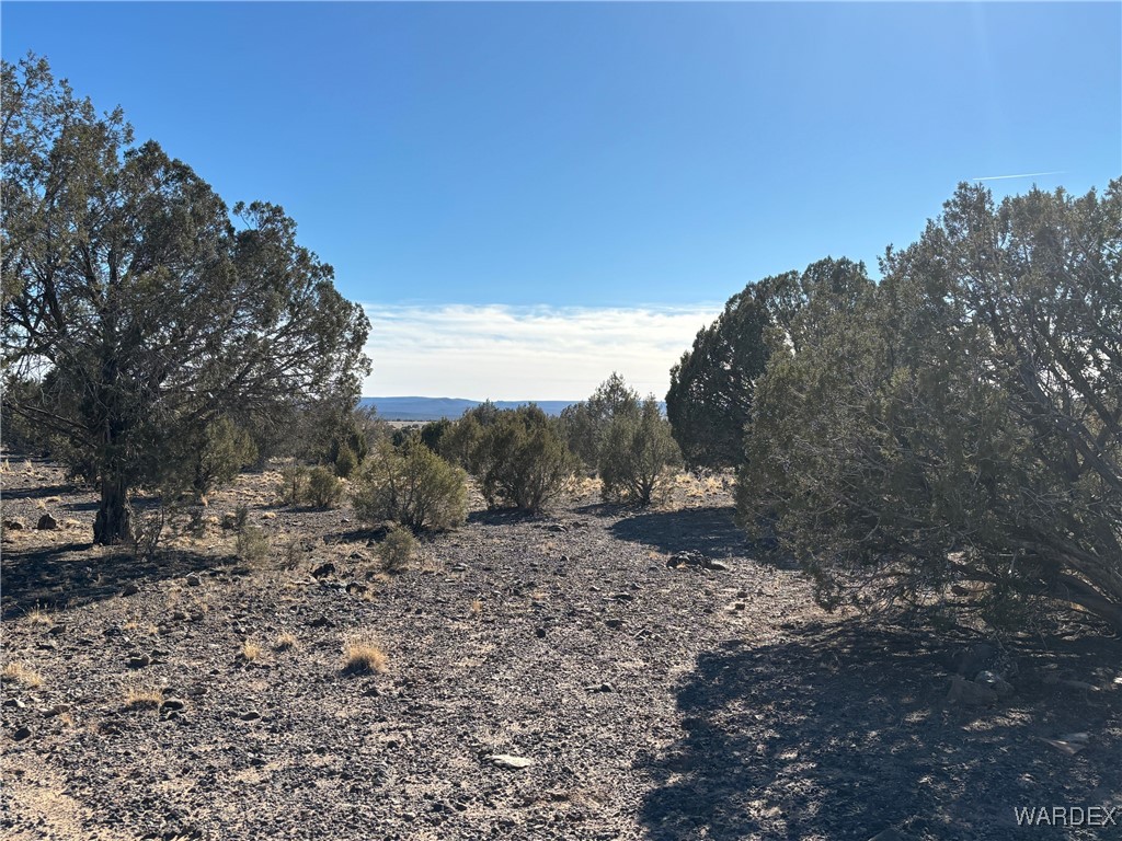 14 North Ten Tanks Road Williams, AZ 86046 - Photo 18 of 23 Other