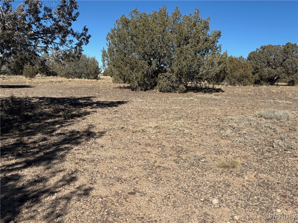 14 North Ten Tanks Road Williams, AZ 86046 - Photo 19 of 23 Other