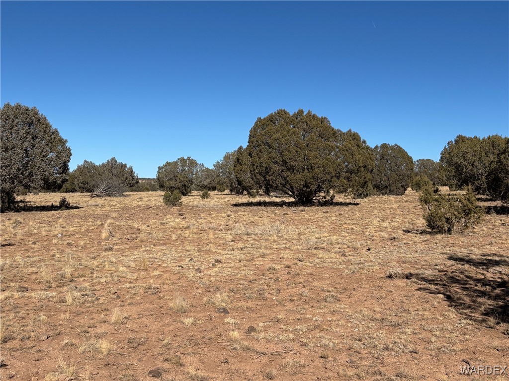 14 North Ten Tanks Road Williams, AZ 86046 - Photo 2 of 23 Other